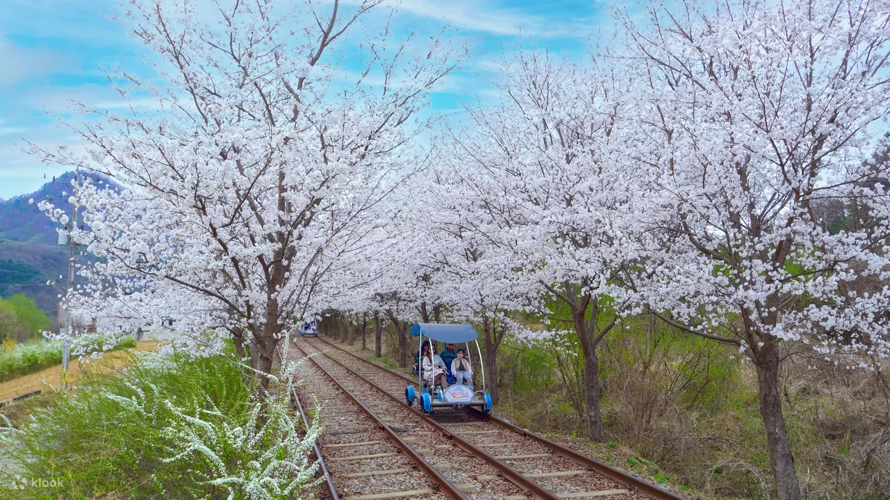 people riding Gapyeong rail bikes across large bridge